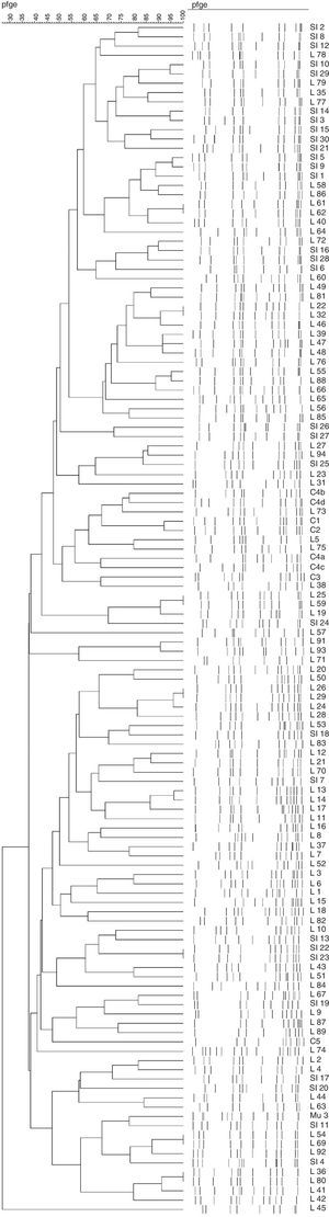 Dendrogram illustrating the PFGE patterns of 124 strains and controls. Twenty-six clones were observed.