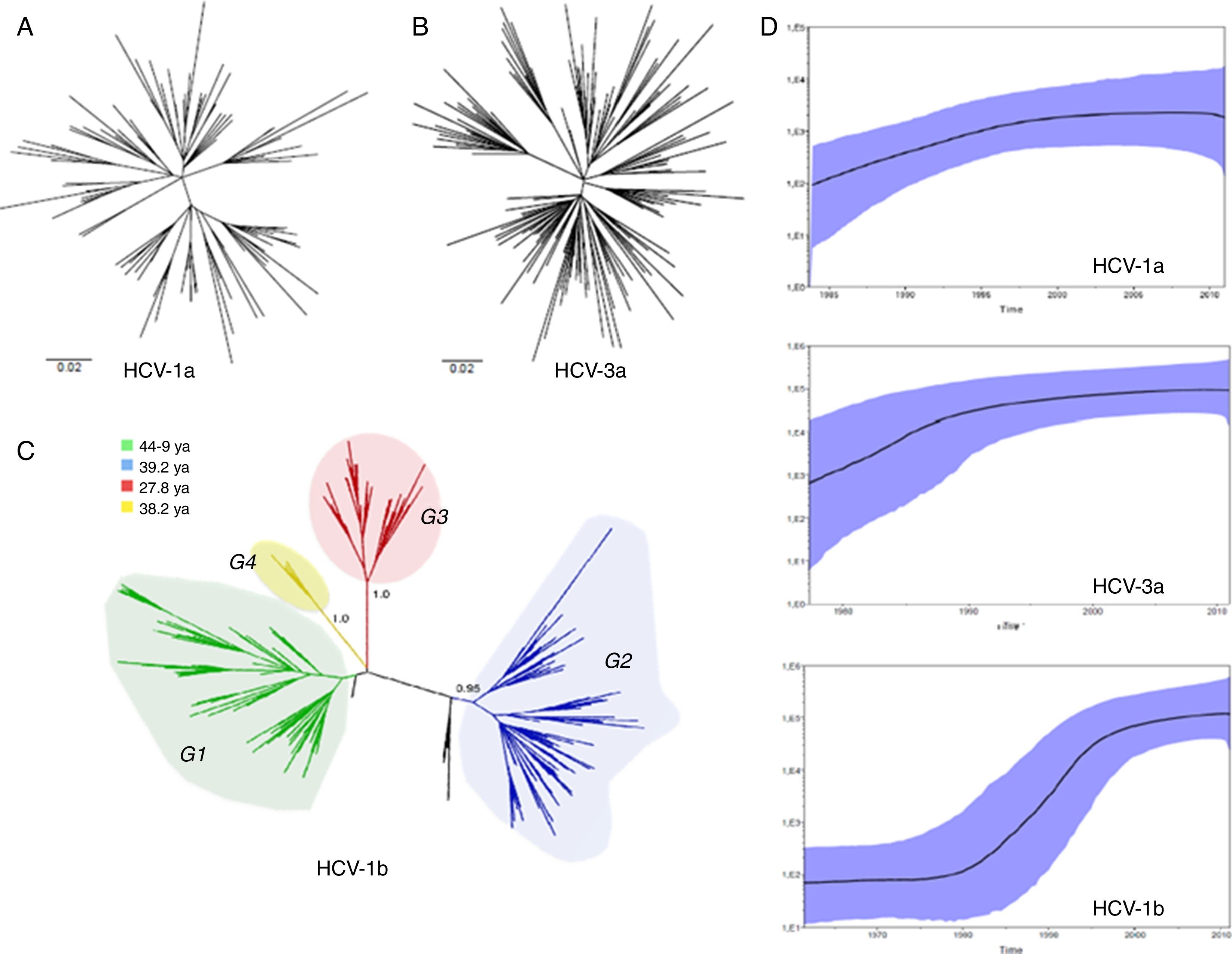 Phylogenetic analysis of the emergence of main hepatitis C virus ...