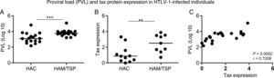 Proviral load (PVL) and Tax protein expression (percentage of Tax+CD3+CD4+ T cells) measurement in HTLV-1-infected individuals. (A) Proviral load was measured in HAC (n=17) and HAM/TSP (n=17) individuals. (B) Tax protein expression was quantified in HAC (n=11) and HAM/TSP (n=9) individuals. The Mann–Whitney U test was used to evaluate differences among groups (**p≤0.01; ***p≤0.001). (C) Correlation between PVL and Tax expression in HTLV-1-infected individuals (n=20). Correlation was calculated by the Spearman method. HAC: Asymptomatic HTLV-1 carrier; HAM/TSP: HTLV-1 associated mielopathy/tropical spastic paraparesis.