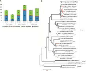 Prevalence of HEV infection in Kunming city and phylogenetic analysis. (A) Seroprevalence of HEV in pregnant women in Kunming city in 2011 and 2015. (B) Phylogenetic analysis based on nearly full-length (7067bp, exclude 5′ UTR and 3′ poly (A)) nucleotide sequence of isolates in this study and other 37 references of four genotypes of HEV, using the neighbor-joining method. The tree was evaluated using the interior branch test method with Mega 4 software. The scale bar represents nucleotide substitutions per base. GenBank accession number, origin, and host are indicated. The isolates identified in this study are marked with a triangle. Strains isolated from Yunnan province are marked with red color. Isolate 8 was deposited into GenBank database and is still being processed.