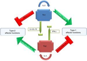 Cytokine mediated proinflammatory (Th1) or anti-inflammatory (Th2) polarization of immune cells.
