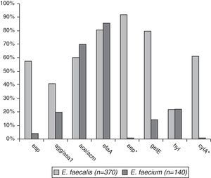 Comparative frequency of virulence genes in E. faecalis and E. faecium isolates. *Genes found only in E. faecalis.