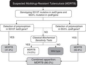 Algorithm for the diagnosis of Multidrug Resistance Tuberculosis (MDRTB) using two predictive markers for isoniazid and rifampicin resistance.