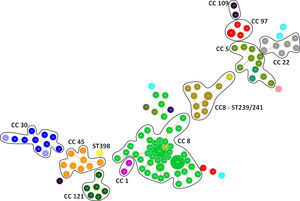 Minimum spanning tree of the 132 S. aureus isolates. It represents the relationship of all isolates analyzed in this study. The different sequence types (ST) identified are represented in different colors. CC, clonal complex.