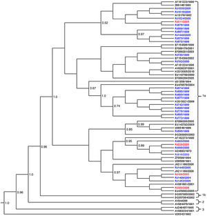 Phylogenetic analysis of B19V VP1/VP2 partial sequences (427bp), obtained from patients with erythema infectiosum (blue) and HIV-infected patients (red) in Niterói, RJ, Brazil, from 1996 to 2006. The reference sequences are showed with their GenBank accession numbers in black. The Bayesian Maximum Clade Credibility tree was based on the relaxed molecular clock and the MCMC analysis was run for 1×109 generations to achieve the convergence of parameters.