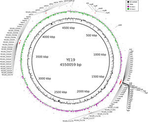 YE 19 strain virulome. Circular map of the YE 19 strain chromosome is playing the distribution of the identified virulence genes.