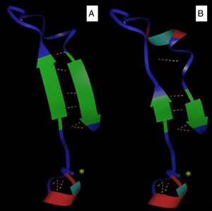 Three-dimensional models of the P. aeruginosa LasR protein. (A) P. aeruginosa PAO1 (standard biofilm producing strain) and (B) P1A (clinical isolate of non-biofilm producing P. aeruginosa).