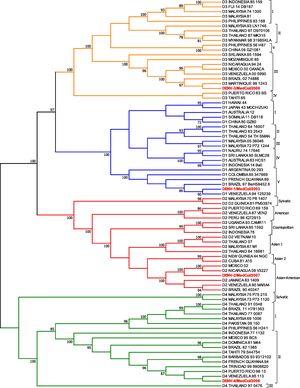 Phylogenetic analysis of clinical isolates. Cladogram resulting from the maximum parsimony analysis of the E gene sequences of the DENV strains used in this study (highlighted in red) and 77 other sequences that together are representative of all genotypes of each serotype. The branches corresponding to serotypes DENV-1, DENV-2, DENV-3 and DENV-4 are shown in blue, red, orange and green, respectively. The branch support obtained by "bootstrap" is shown close to the corresponding node. The analysis was performed using the MEGA 7.0 program.