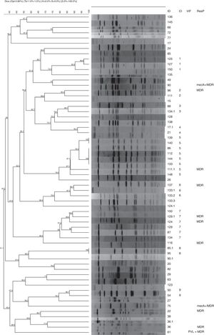 Genetic similarity of Staphylococcus aureus isolated from tonsils of patients submitted to tonsillectomy, established with SmaI PFGE analysis. ID: sample identification; CL: cluster; VF: virulence factor; RP: resistance profile.