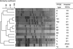 Dendrogram of the PFGE patterns related to 30 CA- and HA-MRSA isolates. Isolates showing a similarity coefficient ≥80% were considered genetically related. DCC, day care centers. One isolate, S. aureus strain ATCC 29213/ST5 was used as control. aRelated to USA600 lineage; bRelated to USA800 lineage.