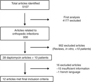 Flowchart of selection process for daptomycin and BJI articles included in review.