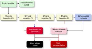The HCV disease progression in the Markov model.