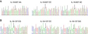 (A) Representative sequences of IL-18 promoter polymorphism of −607A/C. (B) Representative sequences of IL-18 promoter polymorphism of −137C/G.
