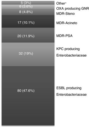 MDR GNR isolated (n=168). Other*: Enterobacteriaceae producing Amp-C cephalosporinases 3 (1.8 %), MDR Burkholderia cepacea 1 (0.6 %), MDR Aeromonas 1 (0.6 %).