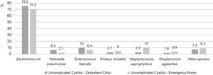Etiology distribution of uncomplicated cystitis in outpatients and emergency room patients in a quaternary hospital of São Paulo (2007–2012). Adapted from Hisano et al.21