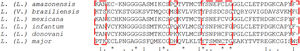 Conformational epitopes alignment predicted for cyspep of Leishmania spp. The prediction of potential conformational epitopes of the cyspep sequence was assessed by a free server (DiskTope 2.0). In the sequence is highlighted in red the similarity among different Leishmania spp.