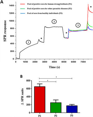 Surface Plasmon Resonance using scFv to detect immune complexes in pooled human sera (A) and variation between the end result and early immobilization of each pool of sera (B). The gold electrode was added of scFv molecules (1) blocked with 1% casein (2) and sera pool samples were added (3). (*) Washing steps in phosphate buffer. Data are expressed as mean±standard deviation (n=2) and are representative of two independent experiments with similar results. *P<0.05.