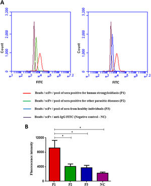 Flow Cytometry with beads coupled with scFv and added of sera pool (A) and fluorescence intensity of each test (B), labeled with anti-human IgG/FITC. Data are expressed as mean±standard deviation (n=2) and are representative of two independent experiments with similar results. Count: 10,000 events; CN: negative control. *P<0.05.