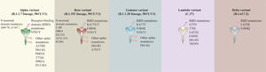 Mutations in S protein of SARS-CoV-2 are generated different variants.