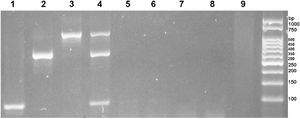 Analytical specificity of multiplex PCR.