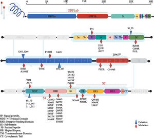 Illustration of the mutations and their positions on the Omicron variant isolates of this study.