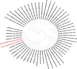 Phylogenetic tree constructed using two Omicron isolates of this study and a selected data set that includes sequences from blast search and neighbouring countries.