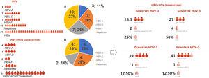 Representation of type infection HBV stratified by genotypes. Legend: HBV-individual infection with hepatitis B; HBV+HDV- coinfection between HBV and HDV viruses; HBV-A (genotype A); HBV-D (genotype D); HBV-F (genotype D); Graph A: Represents the 27 indigenous individuals with individual HBV infection, 10 (37%) of which are DNA-HBV negative, 17 DNA-HBV positive characterized in genotypes HBV-A (11%), HBV-D (26%) and HBV- F (26%). Graph B: Represents the 14 indigenous people coinfected with HDV, 4 (29%) being DNA-HBV negative, 10 DNA-HBV positives characterized in genotypes HBV-A (28%), HBV-D (29%) and HBV-F (14%). Among the coinfected individuals, 8 were RNA-HDV positive, characterized by the genotype HDV-3, were coinfected with 25% DNA-HBV negative and 75% DNA-HBV positive, and were characterized as HDV-A (12.50%), HDV-D (50%), and HDV-F (12.50%). The mean age among those coinfected with genotype D was 27 years, 28.5 years among the DNA-HBV negative in nested PCR, 39 years for HBV-F and 41 years among those coinfected with HBV-A.
