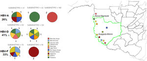 Distribution of Hepatitis B virus genotypes and subgenotypes according to the villages located in the municipalities of Guajará Mirim and Nova Mamoré.