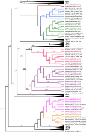 Bayesian Phylogenetic Tree. Legend: Clades whose branches do not include samples have been collapsed (black triangles). The samples are identified with 
