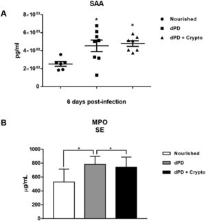 C. parvum infection promotes systemic inflammation increasing plasma SAA and MPO in protein-deficient mice. Levels of (A) SAA and (B) MPO (mean ± SEM) measured by ELISA in plasma of uninfected (nourished or dPD; N = 7) and infected (dPD + Crypto; N = 7) C57Bl/6 mice on day 14 of the experimental protocol. *p < 0.05.