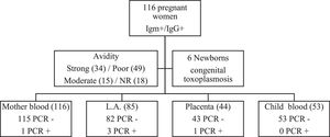 Descriptive flowchart of the results of the studied population. L.A. (Amniotic Fluid)/NR (Not Performed).