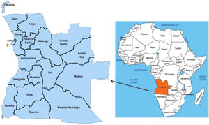 Map of Africa showing the location of Angola (on the right), the city of Luanda (arrow) and Clínica Girassol (on the left).5