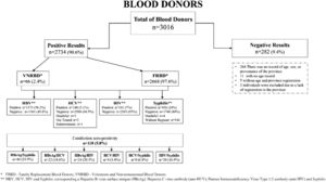 Summary of the blood donors’ records reviewed and TTIs.