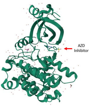 Leishmania infantum, Glycogen Synthase Kinase 3 beta bound to AZD5438 (PDB: 7S6U).