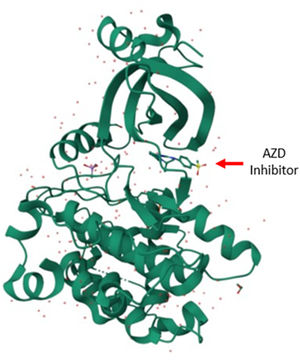 GSK-3 kinase a putative therapeutic target in trypanosomatid parasites ...