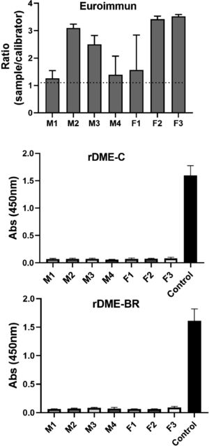 Determination of cross-reaction between Zika antibodies and rDME-C and rDME-BR. Serum samples from Zika virus-infected mice (4 males and 3 females) were diluted at a ratio of 1:50 and tested for Dengue using the following: (A) Euroimmun Dengue test; (B, C) Elisa plates coated with rDME-C or rDME-BR multiepitope proteins (30 µg/mL). The ELISA tests were revealed using anti-mouse IgG antibodies labeled with horseradish peroxidase (1:2000). In panels B and C multiepitope proteins were also revealed using anti-His-Tag antibody (1:20,000) (control). The data presented are the mean ± SD of three independent experiments.