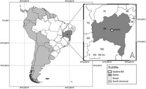 In the image, a map of Brazil highlighting the state of Bahia. In closer view, the location of the city of Seabra in this state is observed.