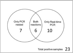 Venn diagrams representing positive Bartonella sp. ‒ PCR results showing how many samples were amplified in each reaction and those detected in more than one PCR.