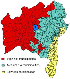 Adapted map with the location of the city of Seabra within the distribution of cities with a medium degree of risk of Chagas disease transmission. Bahia, 2012.34
