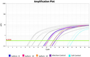 Viral amplification in samples treated with the three soluble isoforms at 100 ng/mL. Amplification plot of assays for isoforms 8, 10, and 12 at 100 ng/mL concentration. Grey: Standard curve dilutions from 10−5 to 10−9. Navy Blue: Sample treated with isoform 8 at 100 ng/mL. Rose: Sample treated with isoform 10 at 100 ng/mL. Orange: Sample treated with isoform 12 at 100 ng/mL. Purple: infection controls from assays. Light blue: cellular controls of infection assays.
