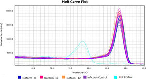 Different Tm dissociation curve between cell control and other virus-containing samples. The melting temperature found for the cell control samples (light blue) differs from the amplification temperature of the DENV-2 fragments, confirming that the fluorescence detected in the cell control was equivalent to primer dimers and not to amplification of viral fragments.