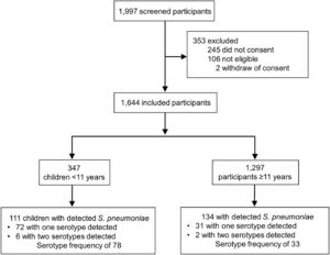 Subjects flowchart. Total 1997 subjects were screened, and 353 were excluded. A total of 1644 participants were included in the study. Of this, 347 were children < 11 years (eligible for pneumococcal vaccination), and 1297 were ≥ 11 years (not-eligible for pneumococcal immunization).