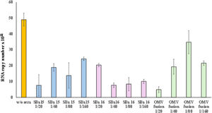 Seroneutralization of SARS-CoV-2 virus particles against vaccinated mice with SBa15 and SBa16 mesoporous silica absorbed with virus and OMV associated with SARS-CoV-2. The orange bar represents the viral copy number of the whole virus amount, and the others represent the neutralization of the half copy number of each sera titer.
