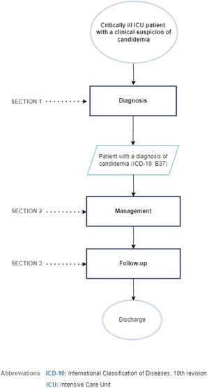 Flow chart for the diagnosis and treatment of candidemia in critically ill ICU patients. ICD-10, International Classification of Diseases, 10th revision; ICU, Intensive Care Unit.