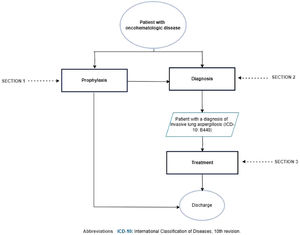 Flowchart for the diagnosis and treatment of invasive lung aspergillosis in the patient with oncohematologic disease. ICD-10, International Classification of Diseases, 10th revision.