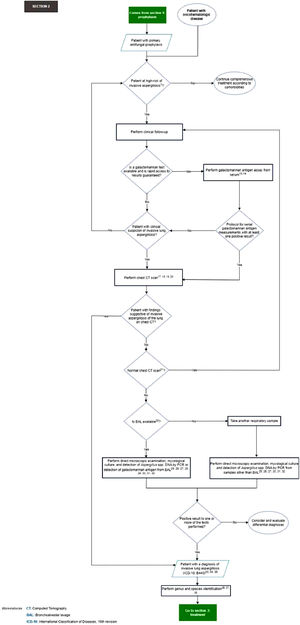 Section 2 of the flowchart: Diagnosis of the patient with oncohematologic disease with clinical suspicion of invasive lung aspergillosis. CT, Computed Tomography; BAL, Bronchoalveolar Lavage; ICD-10, International Classification of Diseases, 10th revision.