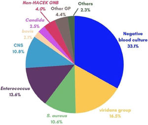 Causative agents in 502 episodes of definite IE in adult patients, 2006‒2023.