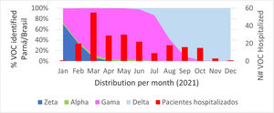 Distribution of VOCs identified by month in 2021.