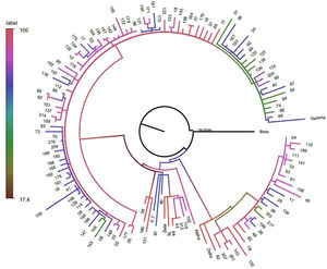 Phylogenetic tree of SARS-CoV-2 strains from admitted patients. Note: Phylogenetic trees based on maximum-likelihood analysis were built using complete sequences of SARS-CoV-2 strains from patients hospitalized with COVID-19 between August 2021 and February 2022. The black dots at the end of the branches represent taxa. The study’s sequences are numbered, and reference sequences are identified in the figure and are available in Supplementary Material.
