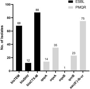 Frequency of antimicrobial resistance genetic determinants among the isolated strains. ESBL (blaTEM, blaSHV, blaCTX−M) and PMQR genes (oqxA, oqxB, qnrB, qepA, aac(6′)-lb-cr) n = 89.